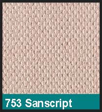 753 Sandscript
